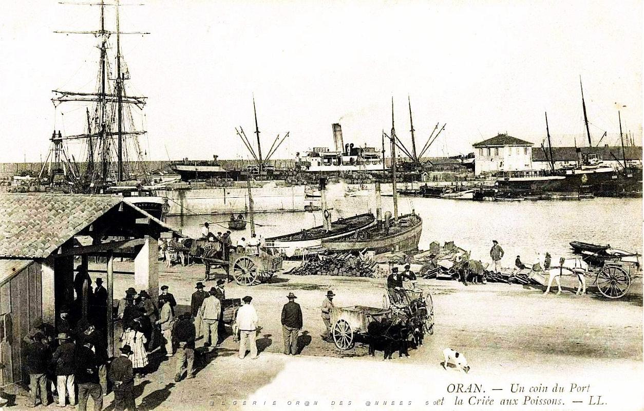 841- Oran - Criee aux poissons.jpg